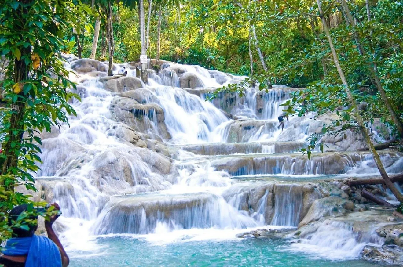 Homestay Modern Oasis Near Dunns River Falls St Mary