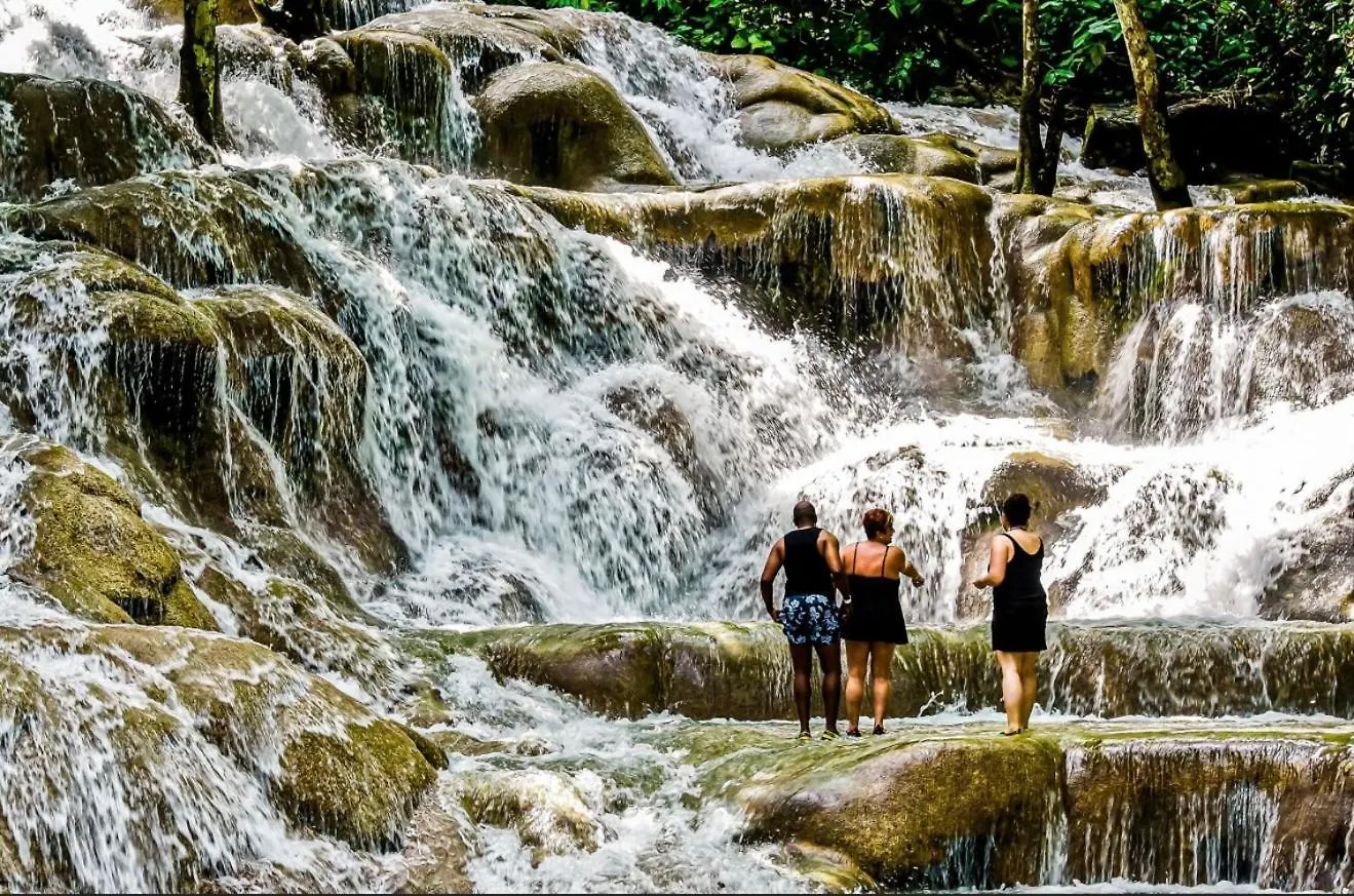 Modern Oasis Near Dunns River Falls St Mary 0*,